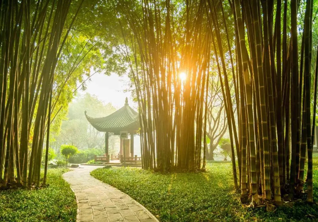 早起三不要，飯后三不急，睡前三不宜