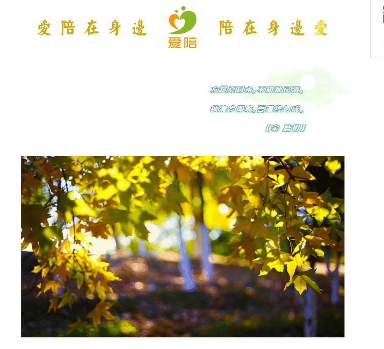 秋清歲即晚，吾道終何成？--共享陪護(hù)床為何而生