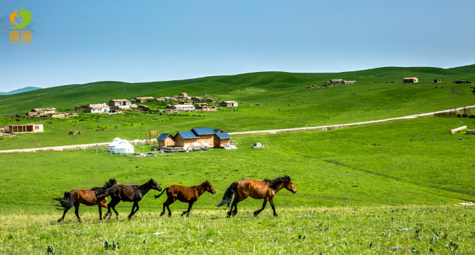 愛在江湖，陪在親情——愛陪供入湘贛地區(qū)提供便民服務回顧